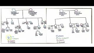 Genogram Project [upl. by Ahsyat]