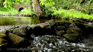 Environmental Ambient Nature Sounds  Relaxing Forest Environment Babbling Brook Water Fall Ambience [upl. by Melburn416]