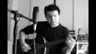 Cant Help Falling in Love cover Elvis Presley 1961 [upl. by Pepito]