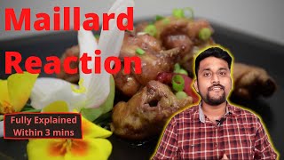 Maillard Reaction vs Caramelisation What is maillard reaction Fully explainedwithin 3 mins [upl. by Eelsew]