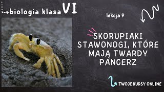 Biologia klasa 6 Lekcja 9  Skorupiaki  stawonogi które mają twardy pancerz [upl. by Rigdon]