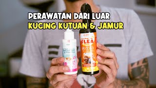 Perawatan Luar Kucing Kutuan BARU ELOPE Shampoo Kutu amp Jamur Kucing [upl. by Solokin]