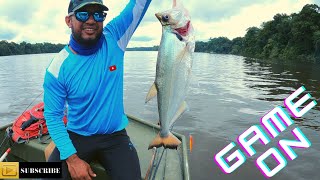 Essequibo river fishing GUYANA [upl. by Winne]