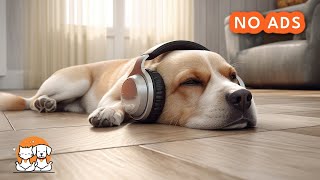 12 hours Soothing Music for Dogs  Fireplace Sounds amp Calming Frequencies for Dogs  Anti Anxiety [upl. by Htebiram]