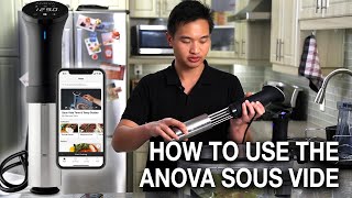 How to Use the Anova Sous Vide Precision Cooker [upl. by Alanson]