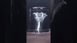 Lichtenberg Effect on Glass sciencefacts science shorts [upl. by Auqeenahs]