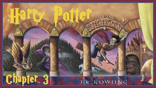 Harry Potter And The Sorcerers Stone Audiobook  Chapter 3 [upl. by Auhs961]