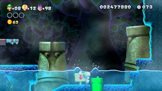 ABM NEW SUPER LUIGI U Walkthough 5 Gameplay HD [upl. by Gavrielle13]