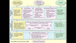 Zoonoses lecture Melissa Leach [upl. by Notirb]