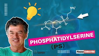 Phosphatidylserine [upl. by Anilak785]