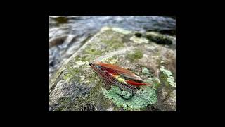 100 Years Ago on river Deveron – Heaviest UK FlyCaught Salmon 🎥D Miller [upl. by O'Toole]