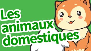 Les animaux domestiques [upl. by Nahgrom475]