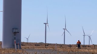 How a wind farm works [upl. by Piggy108]