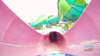 Whanau Way water slide POV at Aquatica SeaWorld Orlando [upl. by Danyluk]