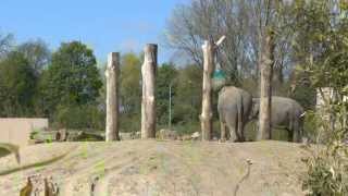 Dierenpark Planckendael [upl. by Adrianne]