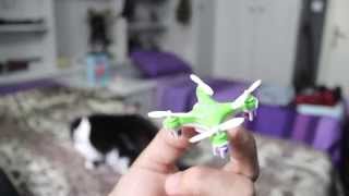 Cat VS Small Quadcopter [upl. by Alisan]