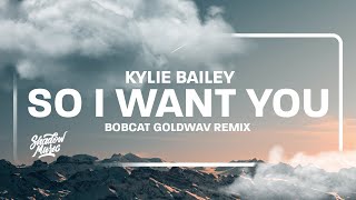 So I Want You ft Kylie Bailey BOBCAT GOLDWAV Remix TikTok Song [upl. by Yaakov]