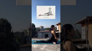 Yoga inspired by animals 🧘‍♀️yoga yogapractice yogainspiration shorts shortsfeed youtube [upl. by Lakin652]