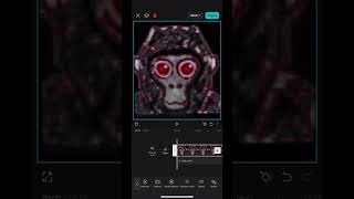 Pbbv sound effect reversed gorillatag fyp shorts [upl. by Ayita]