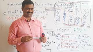 PLANT KINGDOM ALTERNATION OF GENERATION  DILONTIC LIFE CYCLE  LECTURE1 PART5  DR MUKESH KUMAR [upl. by Adnoel]