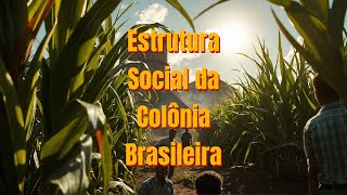 Estrutura Social da Colônia Brasileira [upl. by Rola326]