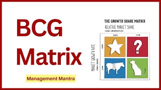 BCG Matrix in Hindi Examples BCG Matrix Model Strategic Management [upl. by Yrffej403]