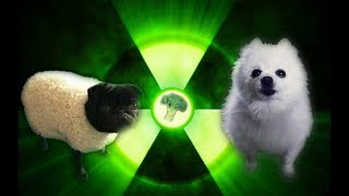 Imagine Doggos  Radioactive [upl. by Orgalim647]