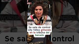 Lilly Téllez enloquece en la tribuna del Senado defendiendo al Pueblo de México 😱🤣 [upl. by Lek]