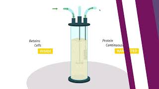 Perfusion Explained [upl. by Burnard]