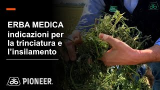 ERBA MEDICA indicazioni per la trinciatura e linsilamento [upl. by Nemhauser]