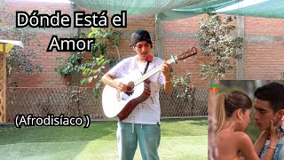 Dónde Está el Amor  Afrodisíaco Fingerstyle Guitar Cover [upl. by Sharon900]