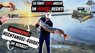 HechtGuide im Herbst 🎣  Hechtangeln im Herbst  Beste Hechtköder Barschköder Nays  Westin [upl. by Gervase]