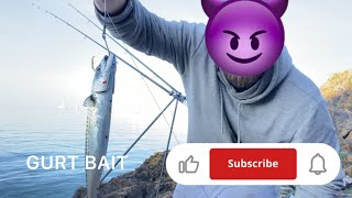 Fishing Plymouth by day amp brixham by night mackerel catch and bait👀 [upl. by Hubie]