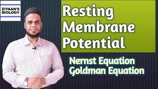 Resting Membrane Potential Nernst Equation  Goldman Equation [upl. by Samoht]