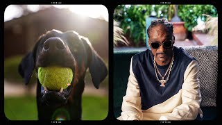 The Making of Petcos Snoop Dogg commercial [upl. by Nus]