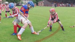 Primary School Shinty World Cup [upl. by Banky]