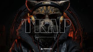 Best Trap Mix 2024  Hiphop Party Trap Music 2024 [upl. by Bonnette]