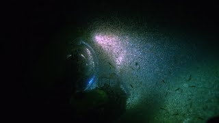 Trying to Pilot a Sub through a “Krill Swarm” [upl. by Silevi820]