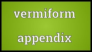 Vermiform appendix Meaning [upl. by Lehcnom392]