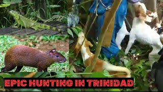 Hunting In Trinidad Never Saw This Before 🔥🔥🔥 must view🇹🇹 [upl. by Allebasi548]