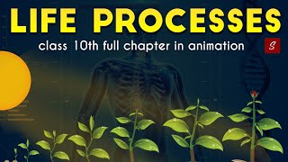 Life Processes Class 10 full Chapter Animation  Class 10 Science Chapter 6  CBSE  NCERT [upl. by Haila]