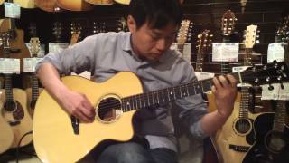 Dolphin Guitars  James Goodall RGCC with LR Baggs Anthem Demo by 荒谷みつる [upl. by Gronseth]