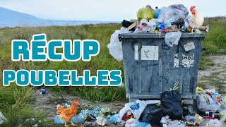 Récupération sous le signe de la poule dans les poubelles près de chez moi 🐓 [upl. by Roose541]