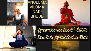 ANULOMA VILOMA PRANAYAM  NADI SHUDDI  UNLIMITED BENEFITS PRANAYAM  SWAMI VIVEKANANDA YOGA [upl. by Magel]