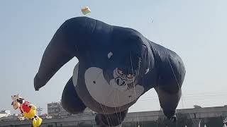 Kite Flyting Festival Hyderabad [upl. by Missi378]