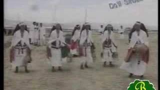 Oromo Music Arsi  Ee Sayyaho [upl. by Alaecim121]