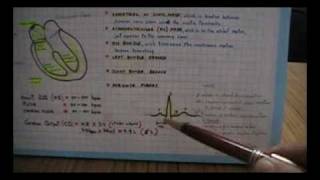 Electrocardiograma 01ekgecg Anatomia y Fisiologia del CorazonDr David Sanchez Barturen [upl. by Eintruok]