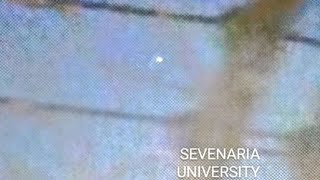 Heres a 2nd video frm 115 of a single bright white unidentifiable flying object [upl. by Hadsall59]