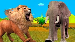 Lion amp Elephant Cartoon for Children Finger Family Nursery Rhymes  Animals Finger Family Rhymes [upl. by Auqeenwahs]