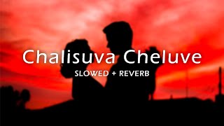 Chalisuva Cheluve l Slowed amp Reverb [upl. by Rednal]